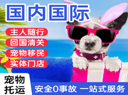 广州白云航空运输国际宠物托运 【国